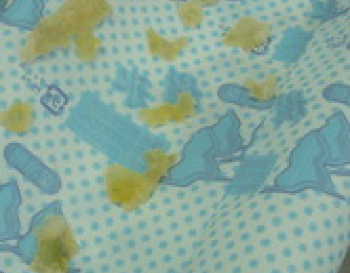 クルー材サンプル
