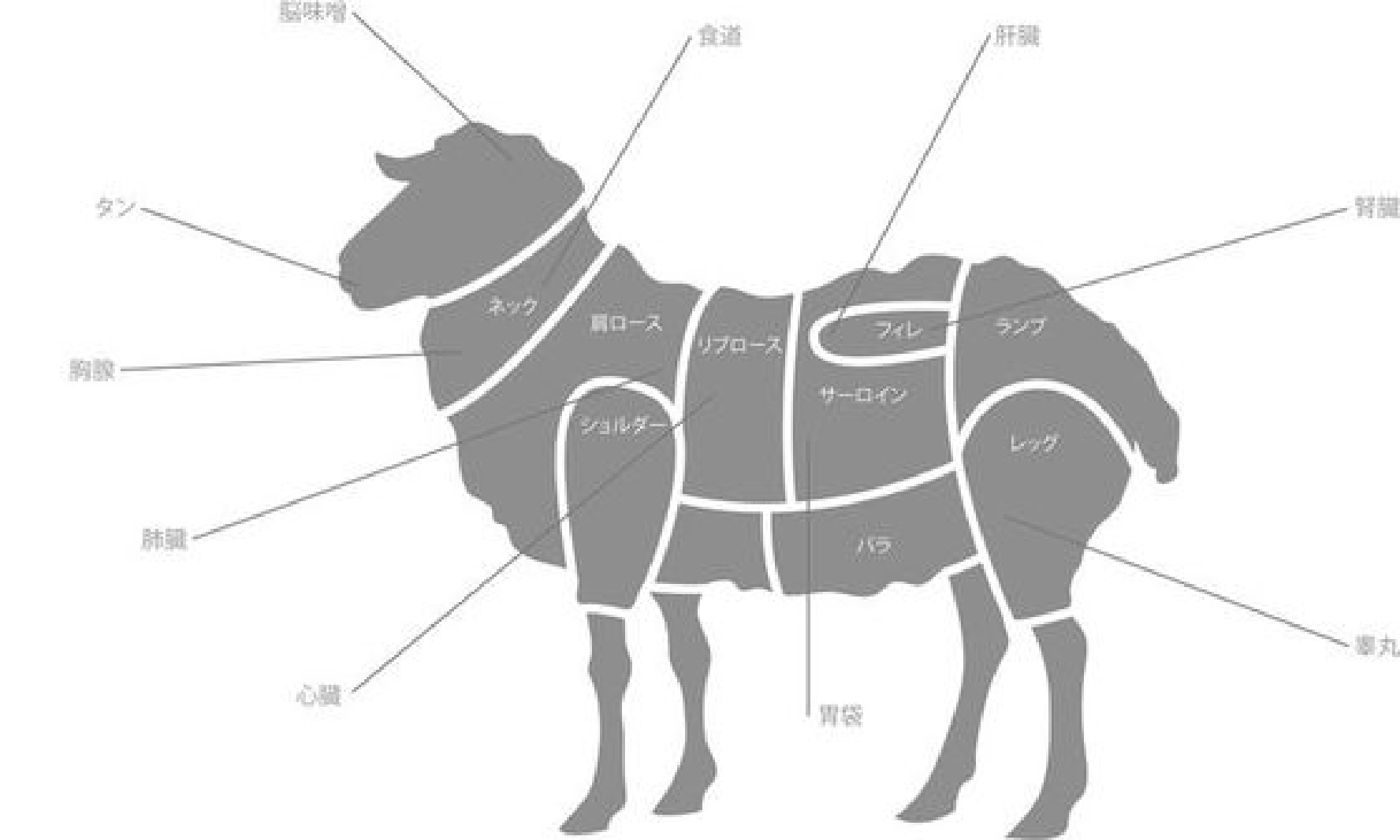 部位一覧