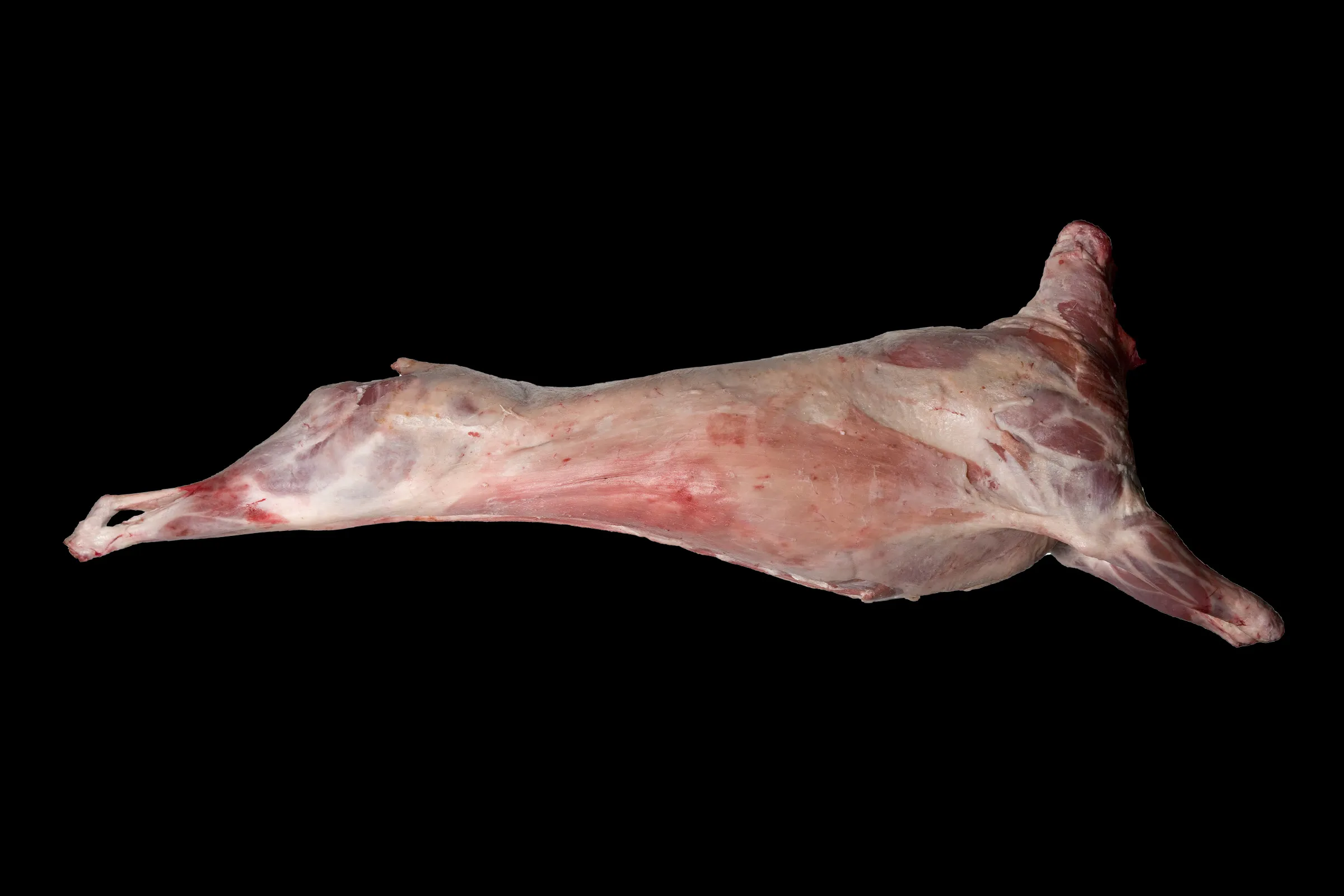 【特価】パタゴニアンラム1頭分枝肉/送料無料