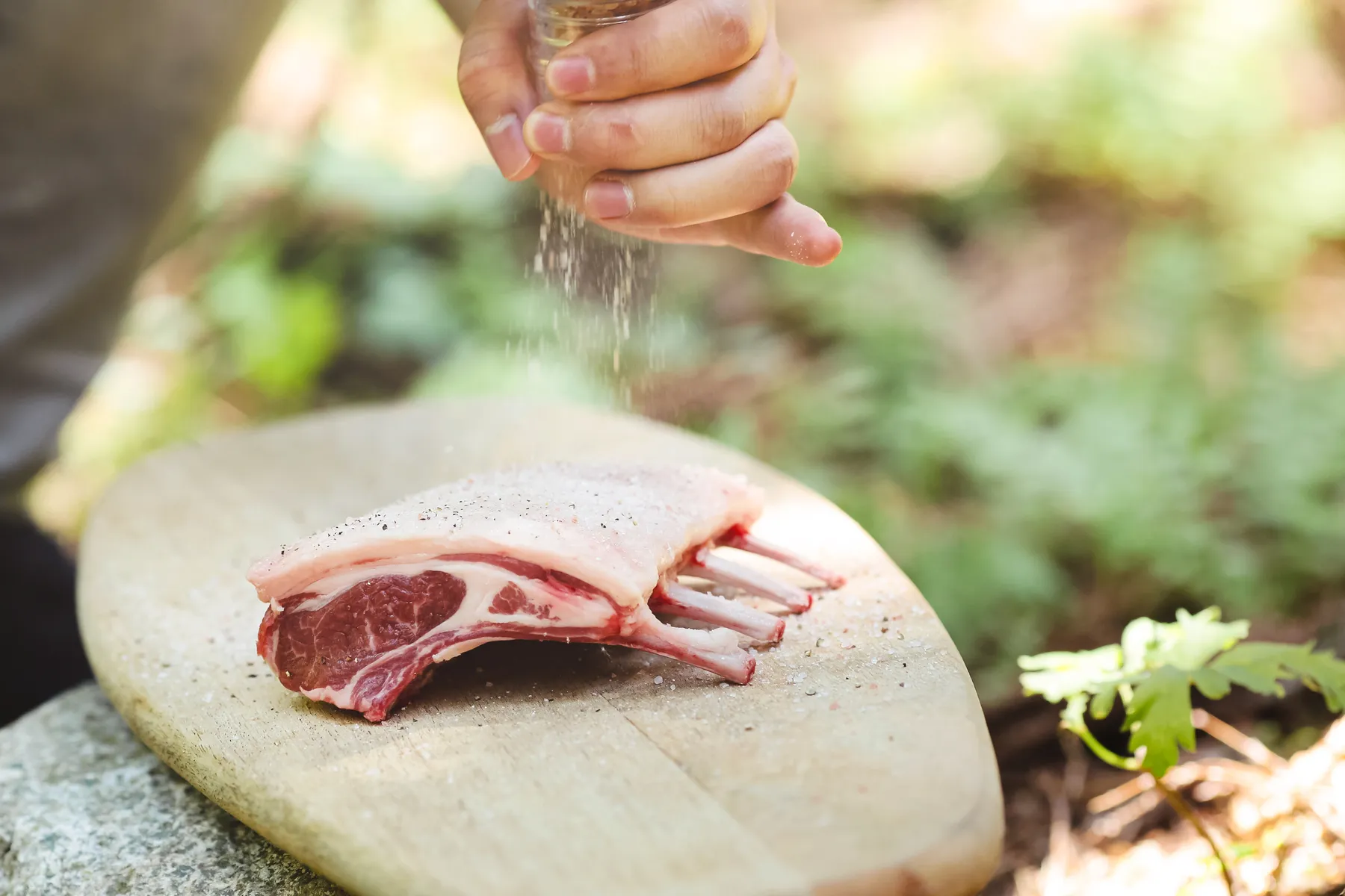 ラムローストの王道、<br>THE RACK OF LAMB。