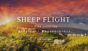 シープフライト