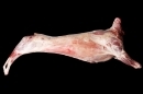 [【特価】パタゴニアンラム1頭分枝肉10.28kg(頭・内臓無し)送料無料]　次回追加未定です。