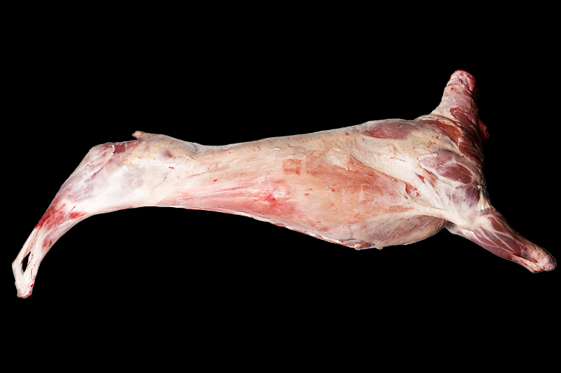 [【特価】パタゴニアンラム1頭分枝肉10.28kg(頭・内臓無し)送料無料]